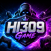 HI309 Game
