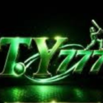 TY777 Game